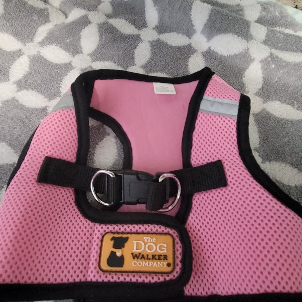 Pet Harness